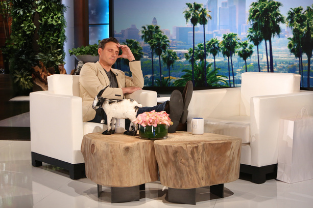 TG on Ellen-3