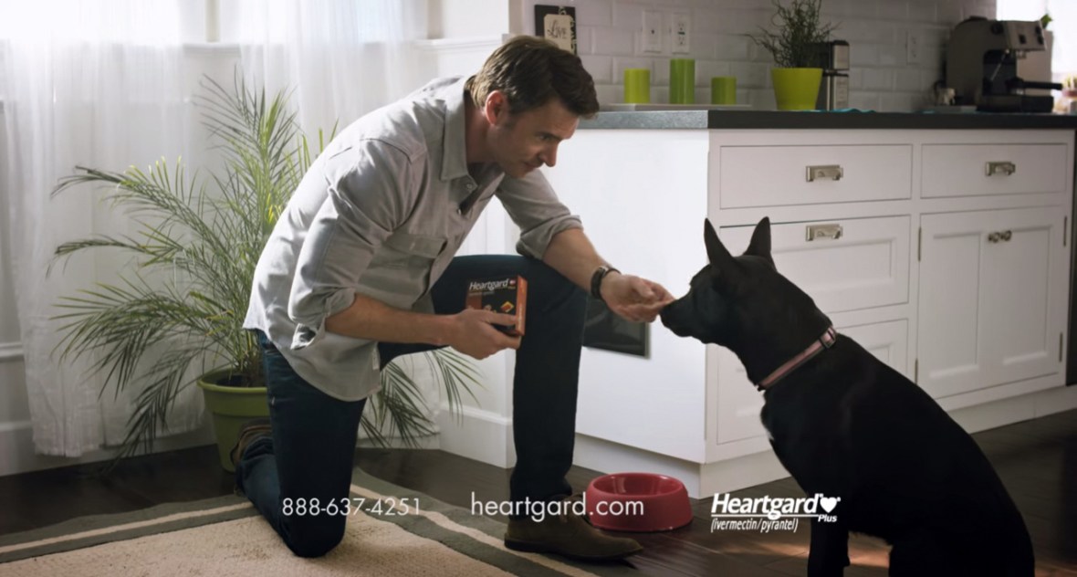 Screen Shot 2015-05-14 at 12.04.48 AM 1.png